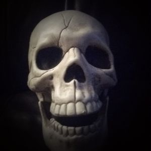 Meet your Posher, Jacob